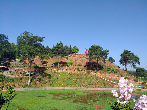 風(fēng)車節(jié)實景